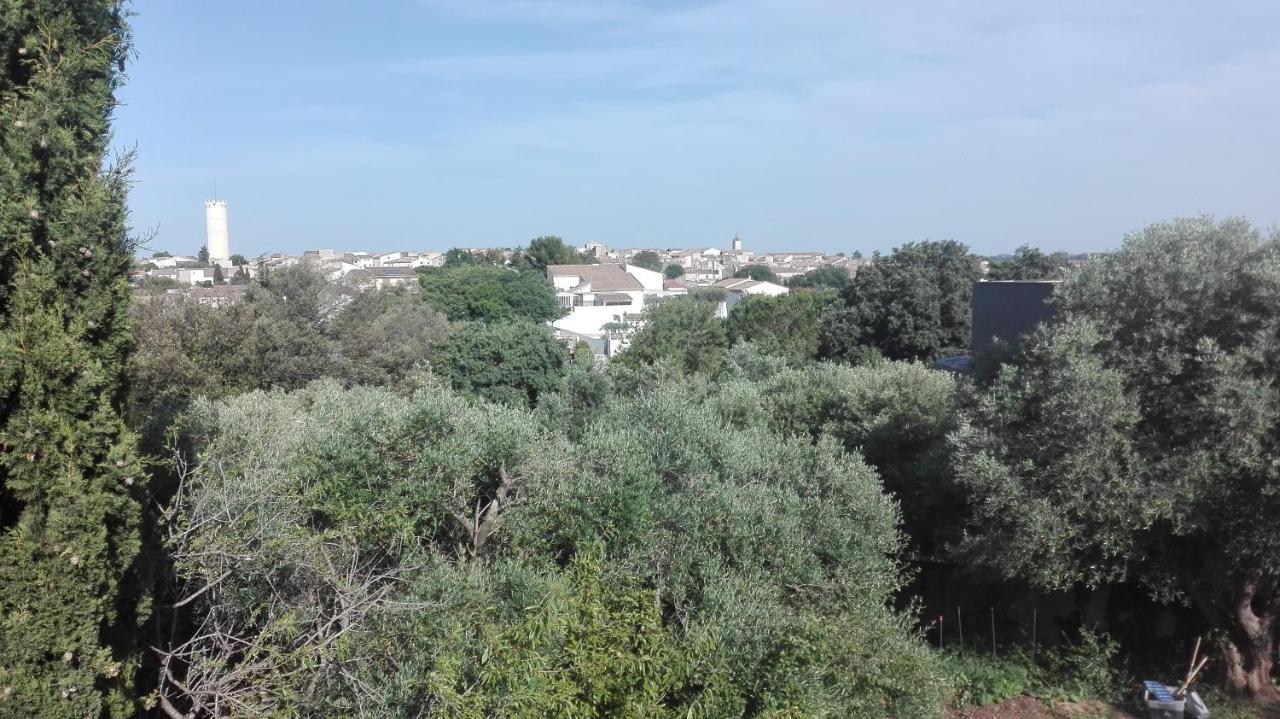 Le Mazet De Choubouloute Bed & Breakfast Saint-Gilles  Exterior photo